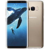 Buy Galaxy S8 (Maple Gold, 64GB) 4GB Ram Single Sim - Price & Offers