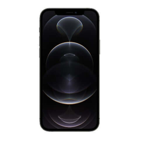 iPhone 12 Pro Max Graphite,