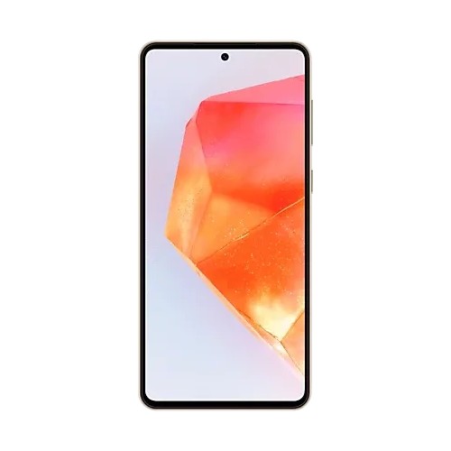Samsung Galaxy C55 2024