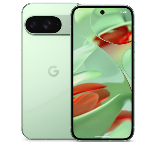 Google Pixel 9  2024
